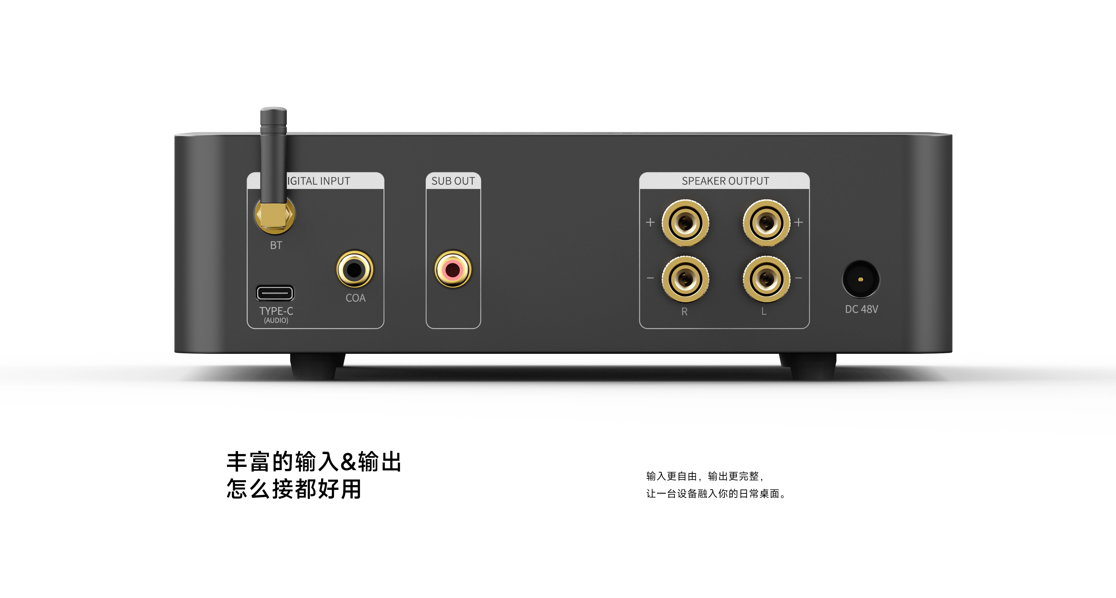DA70 rear input and speaker output connections