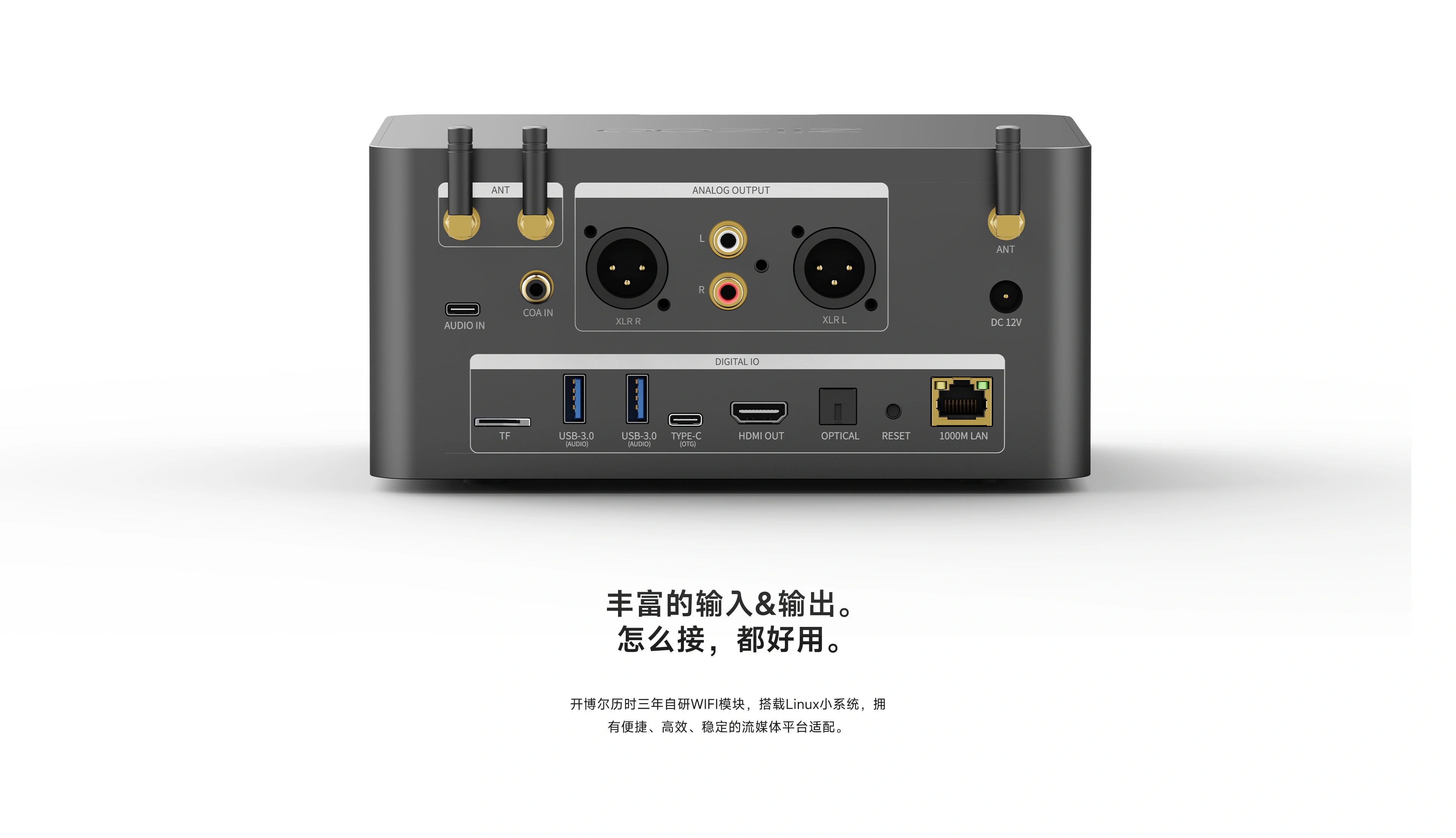 DMP70 PRO rear-panel inputs and outputs